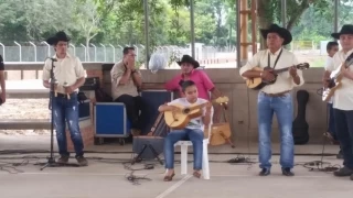En el 2015 el Garcero del Llano busca descubrir y rescatar el talento 100 riollo de los niños, niñas y adolescentes de la comunidad estudiantil de los colegios públicos y privados del municipio de Yopal.
